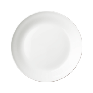 A white paper plate